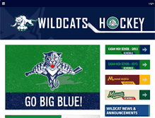 Tablet Screenshot of eaganhockey.com